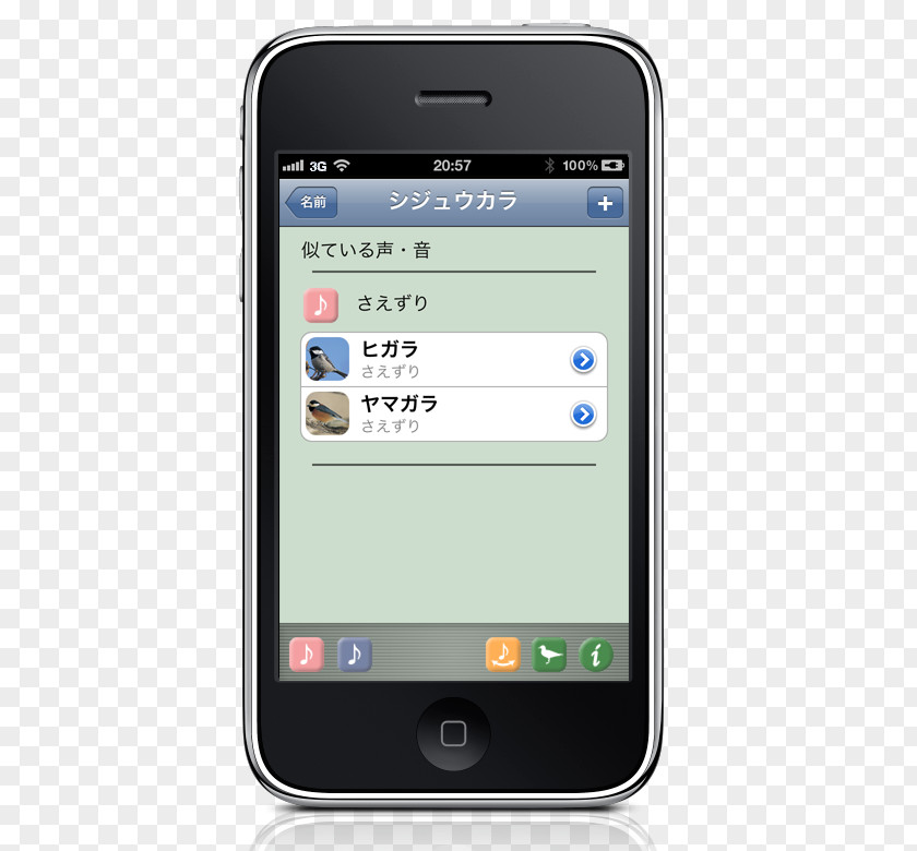 JapBirds Feature Phone Smartphone Responsive Web Design Template Newsletter PNG