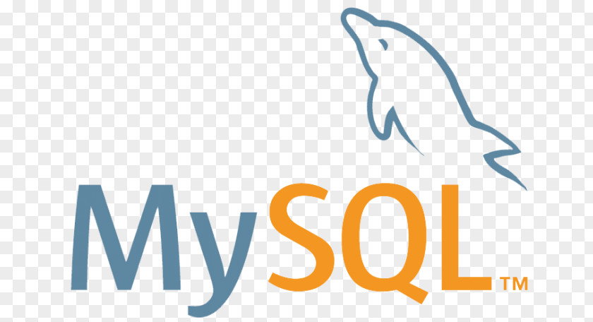 MySQL Computer Servers Database Server Administrator PNG