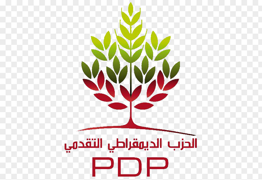 Politics Tunisia Progressive Democratic Party Political Republican PNG