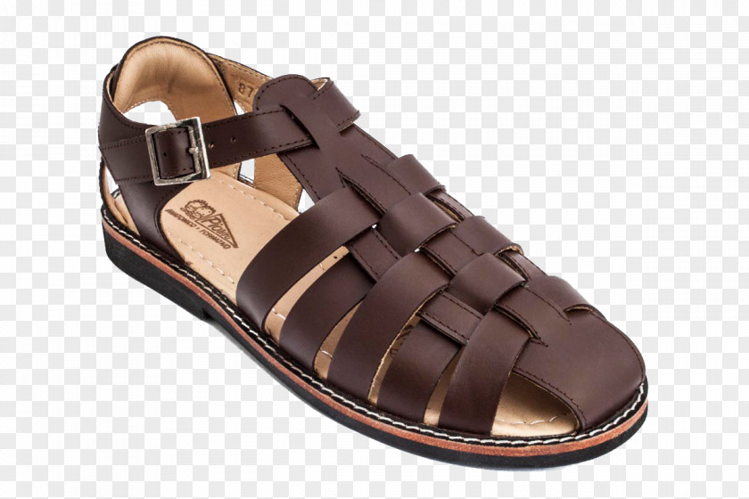 Sandal Shoe Blue Beige Leather PNG