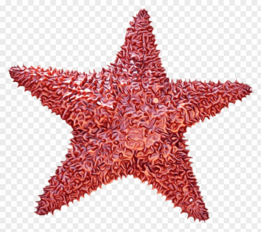 Star Pink Background PNG