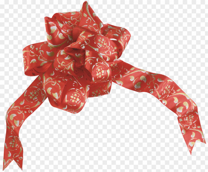 Bows PhotoScape Clip Art PNG