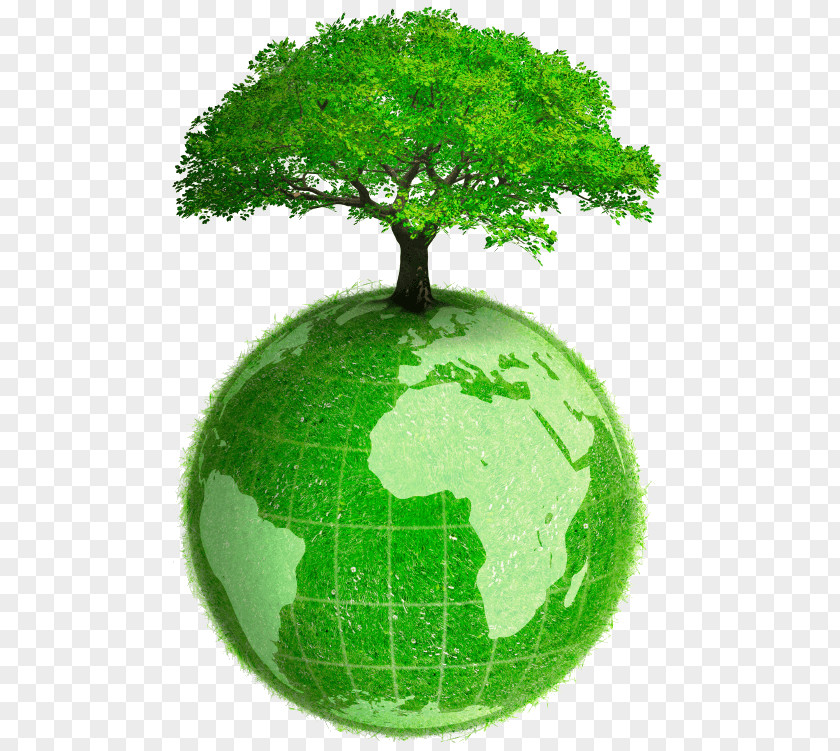 Eco Freindly Earth Green Natural Environment Planet MSU Bioeconomy Institute PNG