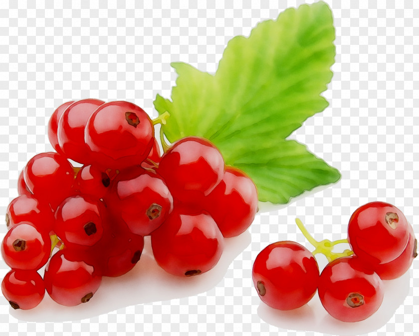 Gooseberry Zante Currant Lingonberry Cranberry Raspberry PNG