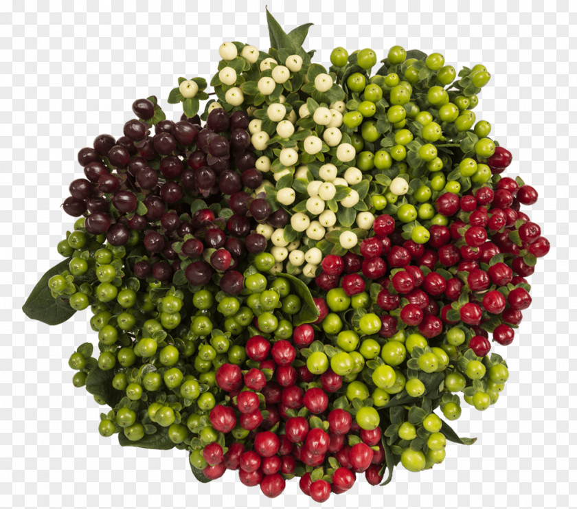 Hypericum Berries Cranberry Vegetarian Cuisine Natural Foods Vegetable PNG