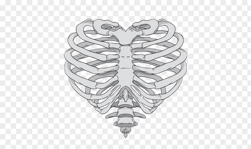 Skeleton Hand Rib Cage Heart Human Anatomy PNG