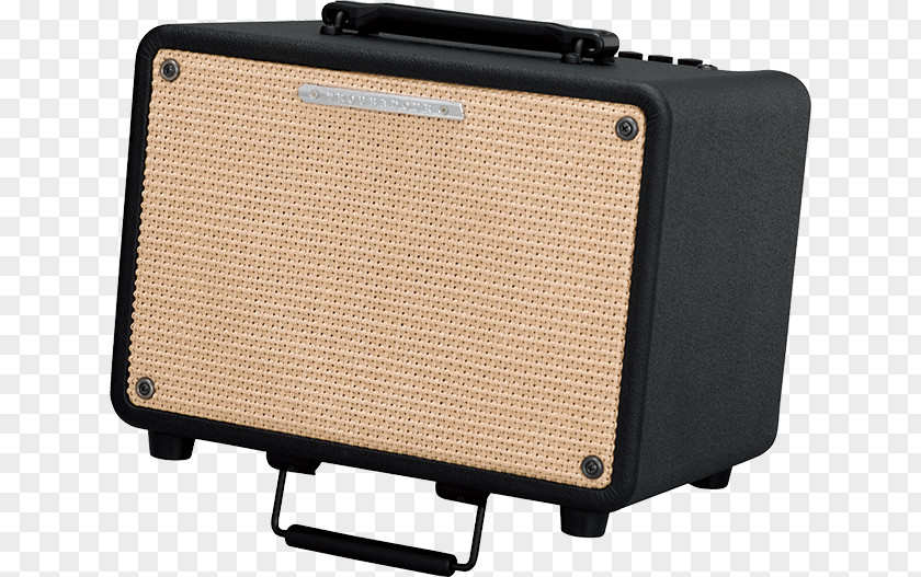 Acoustic Guitar Amplifier Ibanez Acoustic-electric PNG