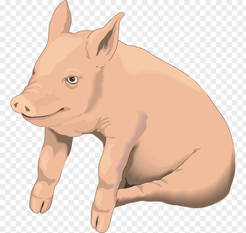 Clipart Pig Download Clip Art Openclipart Transparency PNG