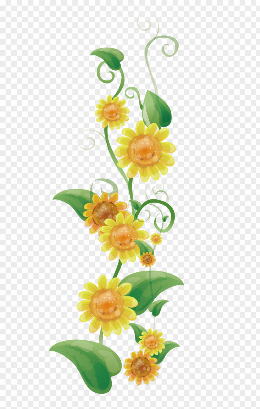 Common Sunflower Floral Design PNG sunflower design, Yellow sunflowers clipart PNG
