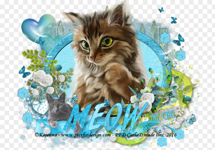 Grapics Maine Coon Whiskers Norwegian Forest Cat Domestic Short-haired Wildcat PNG