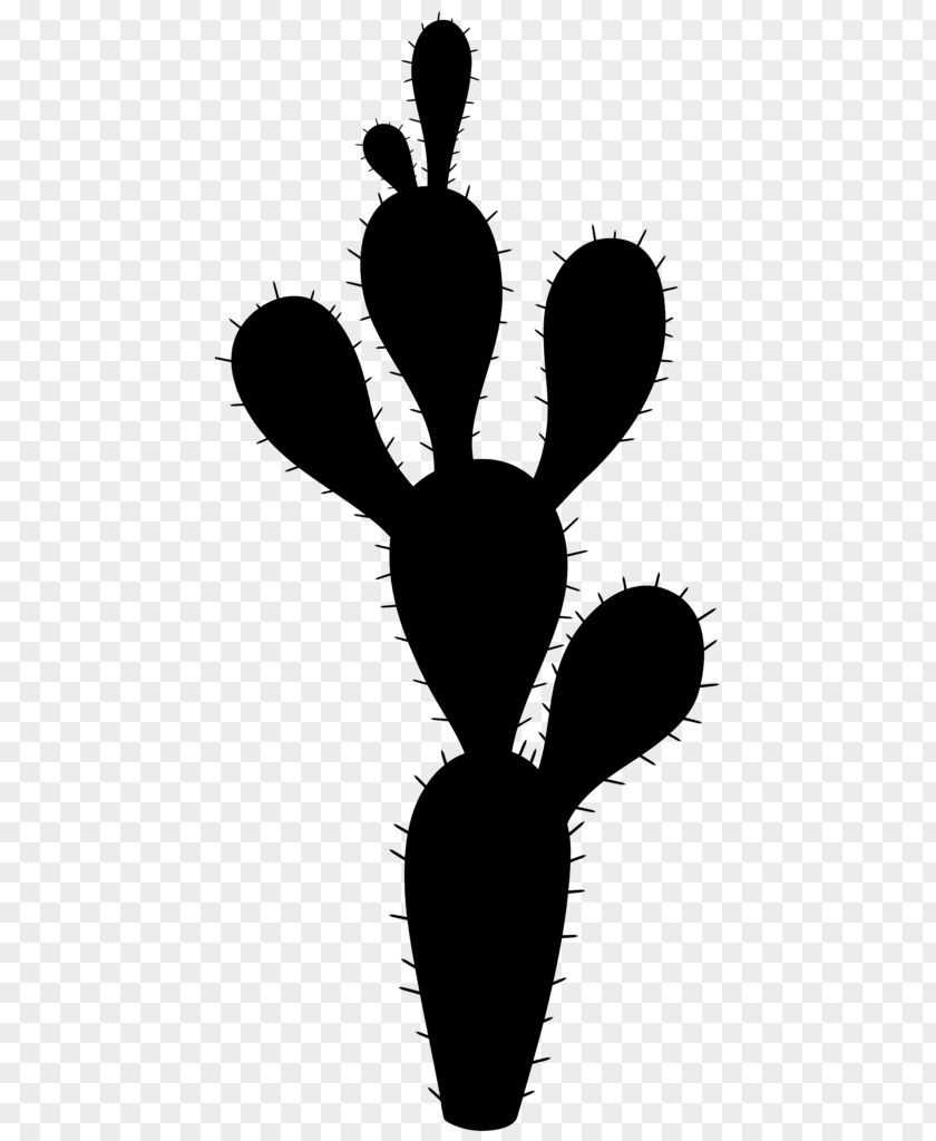 Insect Flower Plant Stem Leaf Clip Art PNG