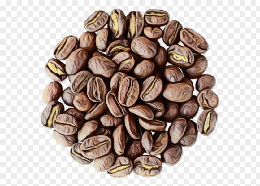 Java Coffee Superfood Nuts & Seeds Food Nut Plant Seed PNG
