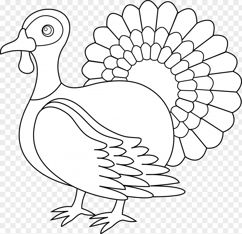 Turkey Line Art Black And White Meat Clip PNG