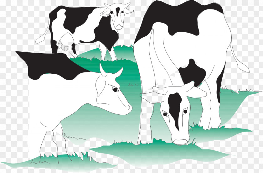 Dairy Cattle Milk Farming PNG
