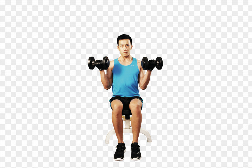 Dumbbell Weight Training Biceps Curl Barbell Wrist PNG