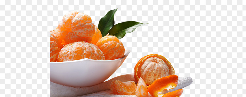 Grapefruit Clementine Mandarin Orange Tangerine Tangelo Clip Art PNG