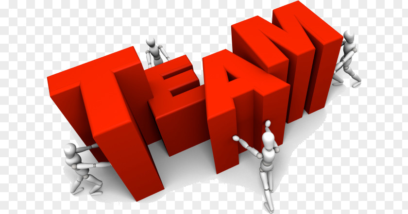 Importance Organizational Skills Partnership Teamwork Organization Company PNG