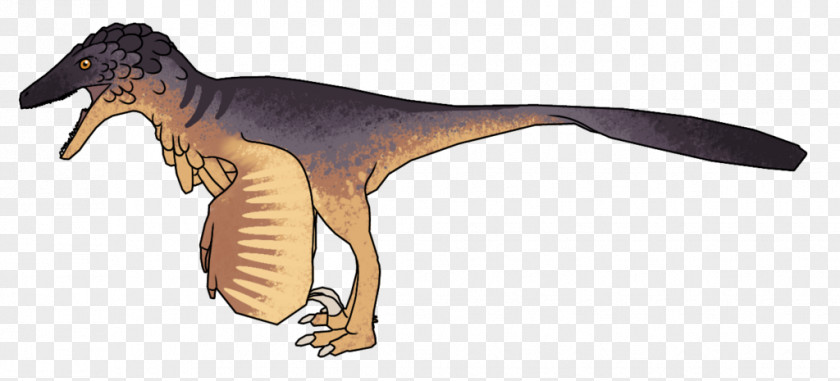 Killer Whale Velociraptor Tyrannosaurus Animal PNG