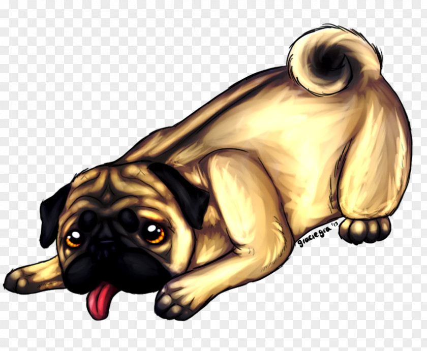 Puppy Pug Dog Breed Companion Toy PNG