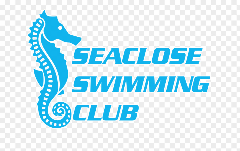 Swimming Training Logo Pools Graphic Design Brand PNG