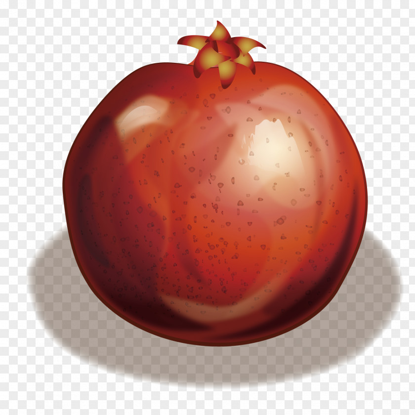 Vector Red Pomegranate Tomato Fruit PNG