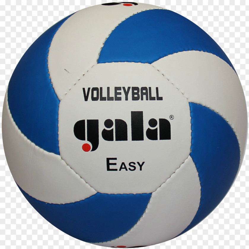 Ball Gala Pro-Line 10 BV5581S Volleyball Medicine Balls PNG