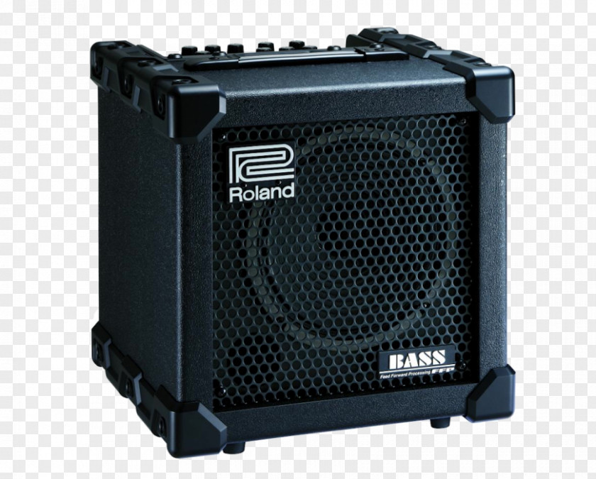 Bass Guitar Amplifier Roland CUBE-20XL PNG