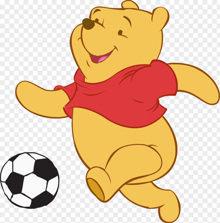 Bear Polar Football Drawing Sport PNG