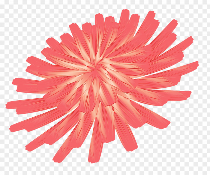 Dahlia Cut Flowers Chrysanthemum Petal Red PNG