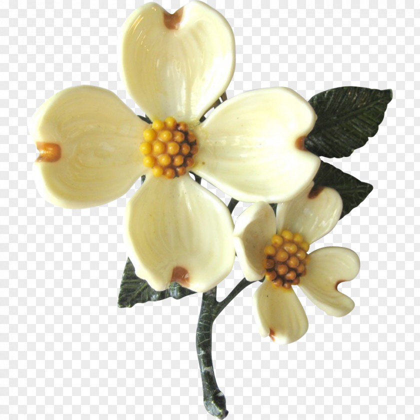 Enameled Moth Orchids Cut Flowers Petal Jewellery PNG