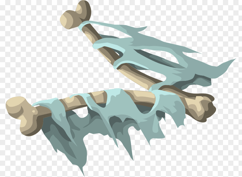Fy Bone Skeleton Clip Art Vector Graphics Skull PNG