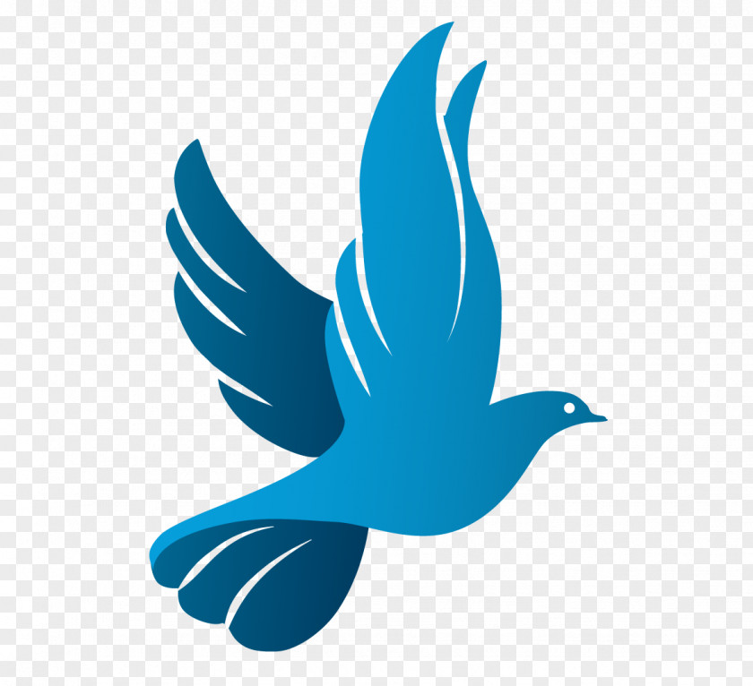 Pigeon Columbidae Doves As Symbols Logo PNG