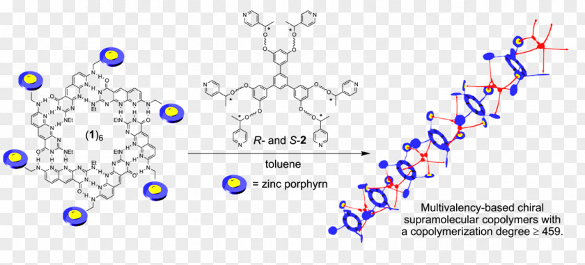 Biomolecules Polymers Supramolecular Chirality Chemistry Molecule PNG