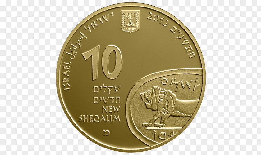 Coin Gold Tel Megiddo Street Israeli New Shekel PNG