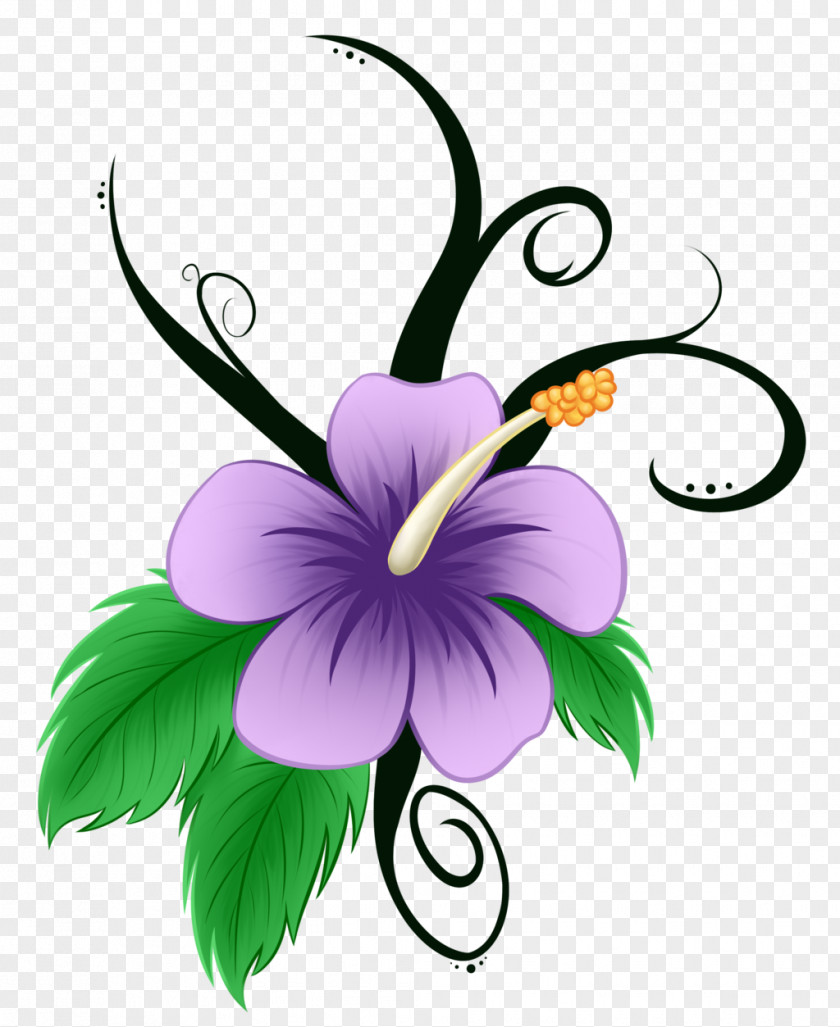 Hawaii Flower Hawaiian Drawing Clip Art PNG