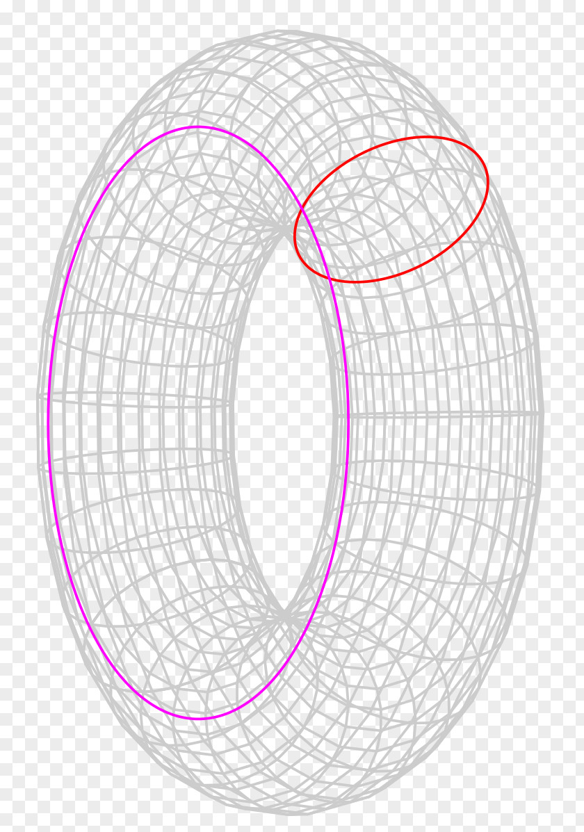 Lifebuoy Torus Circle Topology Homeomorphism Surface PNG