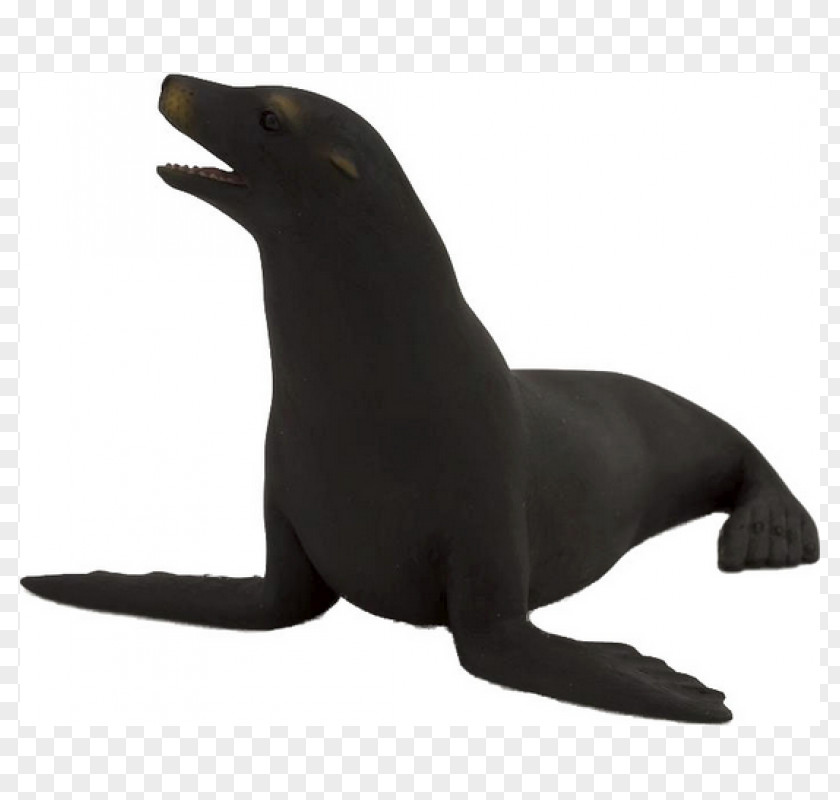 Lion California Sea Earless Seal Walrus PNG