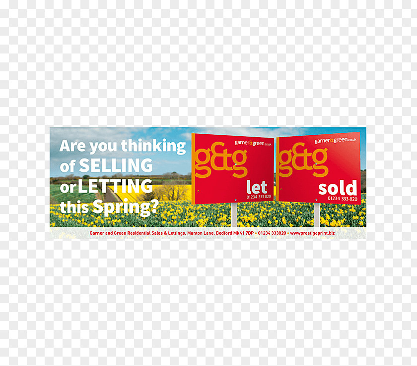 Marketing Plan Flyer Brand PNG