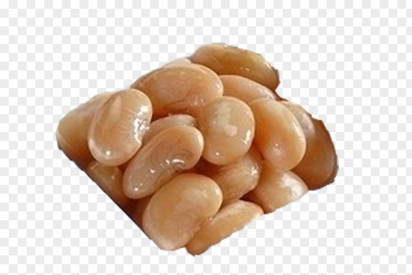Salt Baked Kidney Beans Common Bean PNG
