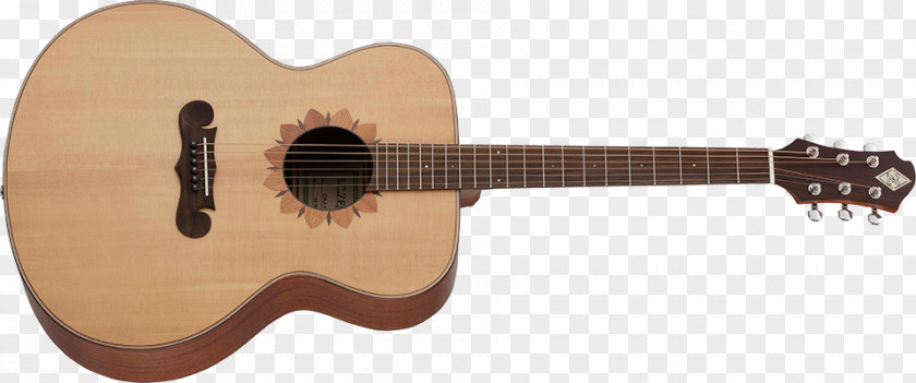 口ひげ Steel-string Acoustic Guitar Acoustic-electric Cutaway PNG