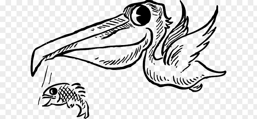 Aquariumlighting Of The Seawater Cartoon Drawing Brown Pelican Clip Art PNG