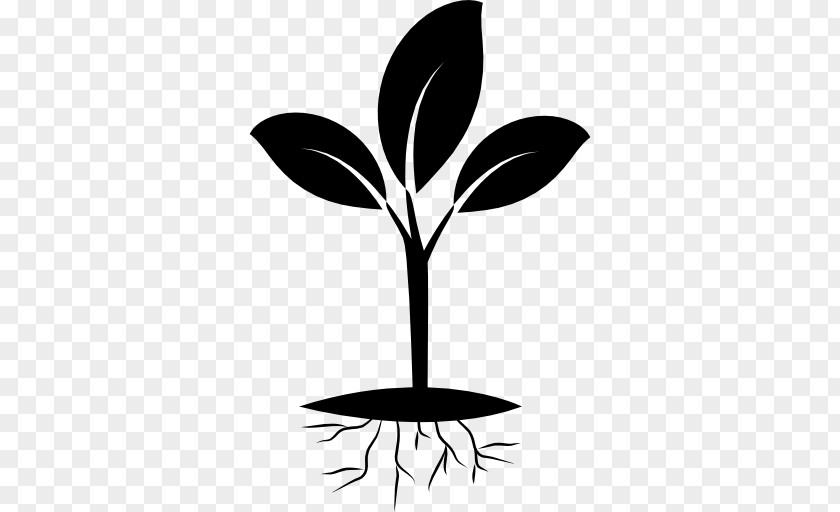 Clip Art Seedling Plants PNG