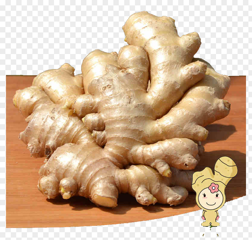 Ginger On The Table Juice Root Vegetables PNG