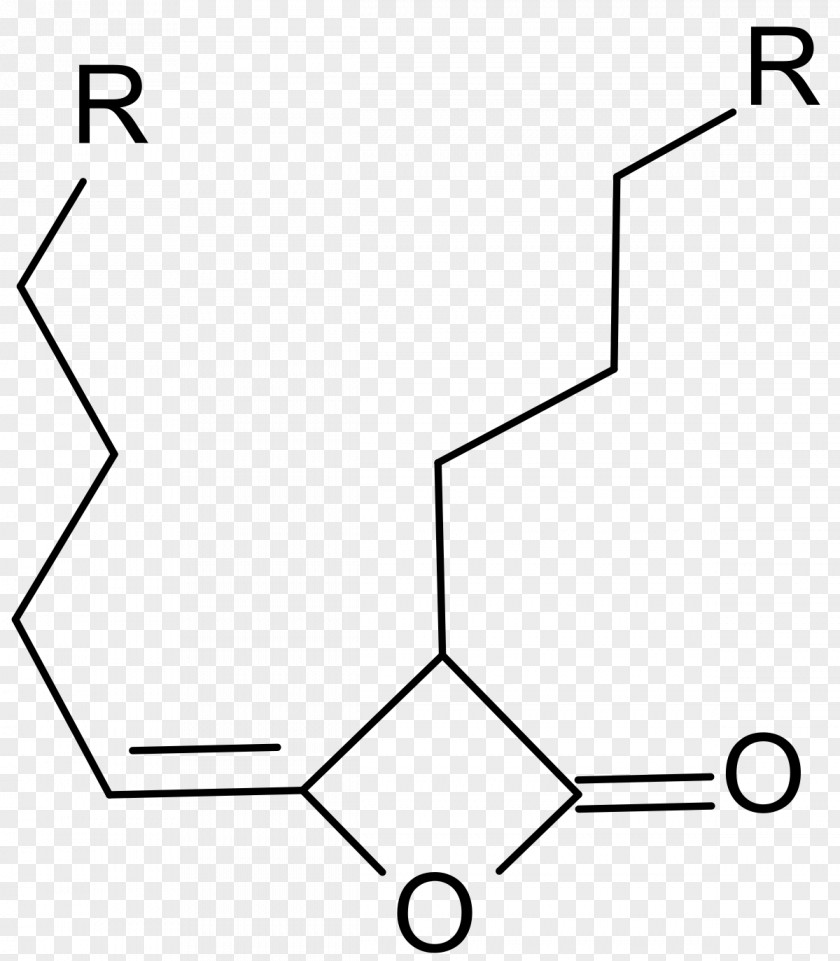 Mortimer Industry Template Alkyl Ketene Dimer Technology Human Resource PNG