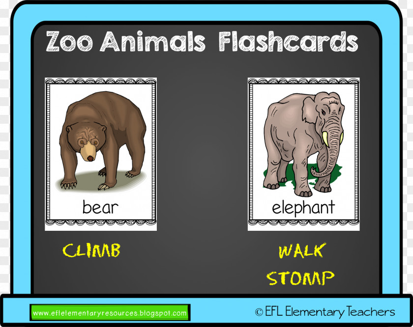 Teacher Indian Elephant Flashcard English As A Second Or Foreign Language Bear PNG