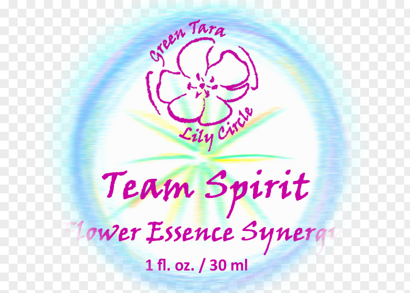 Team Spirit Spiritual Pearls For Enlightened Living Paperback Logo Book Font PNG