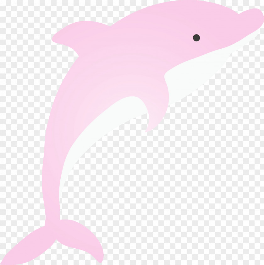 Dolphin Pink Bottlenose Cetacea Fin PNG