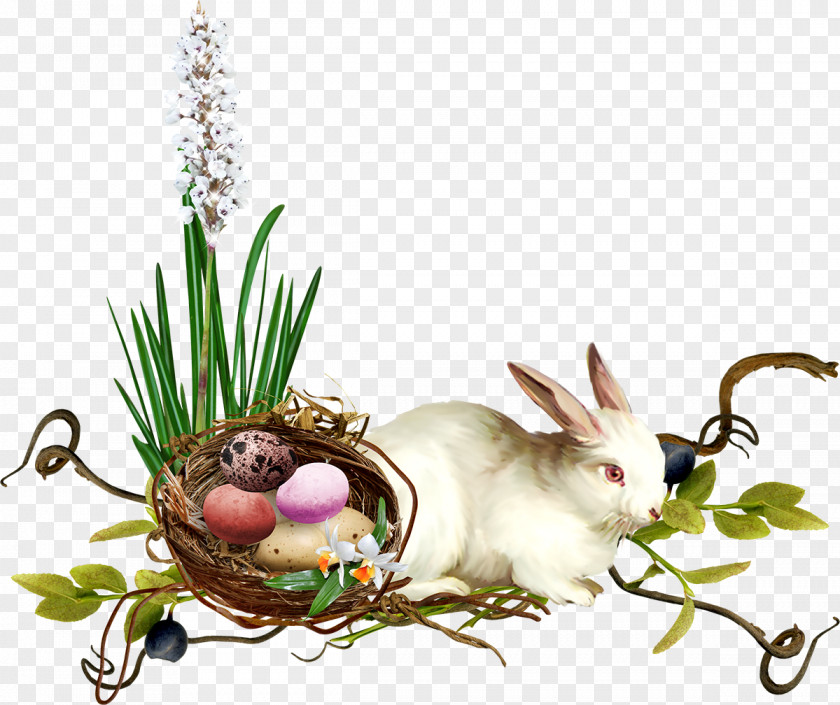Easter Bunny Domestic Rabbit Hare PNG