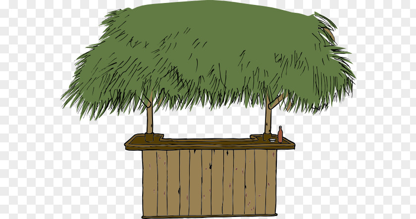 House Roof Palm Tree Drawing PNG