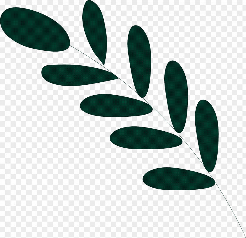 Leaf Plant Stem Vegetable Herbaceous Logo PNG